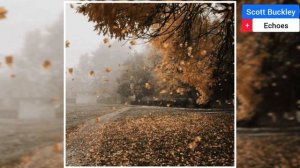 Echoes | Композитор: Scott Buckley