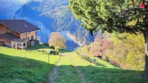 Красивая горная деревня Венген Лаутербруннен, Швейцария _ Как спокойна эта долина🍀🇨🇭