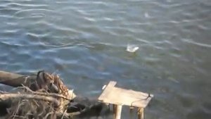 Рыбалка в Харабалях. На удочку клюёт как из пулемёта.