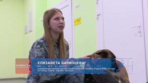 ⭐️ В Анапе полицейские организовали ярмарку вакансий для школьников и студентов