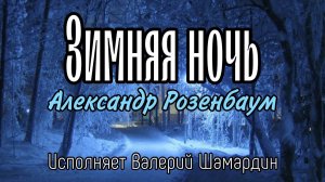Зимняя ночь (А.Розенбаум) Исполняет В.Шамардин