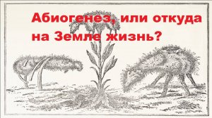 Абиогенез, или откуда на Земле жизнь?