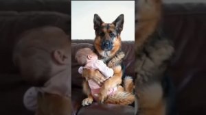 МУЗЫКА МОЕЙ ДУШИ