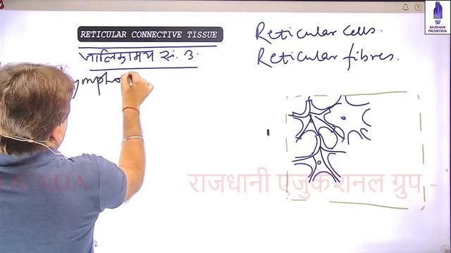 [5] NEET Biology Lessons | Animal Tissues (Lecture-5) | connective Tissue | Rajdhani Science Dhara