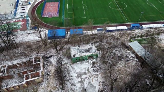 И. Шнырева