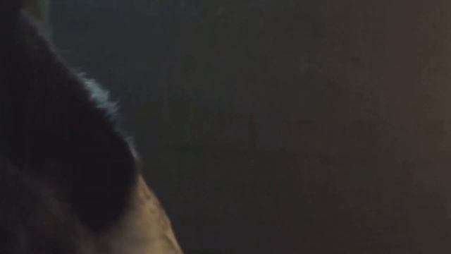 ethan nestor being adorable for 9 minutes and 30 seconds смотреть онлайн