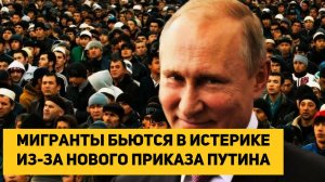 Мигранты бьются в истерике из-за нового приказа Путина