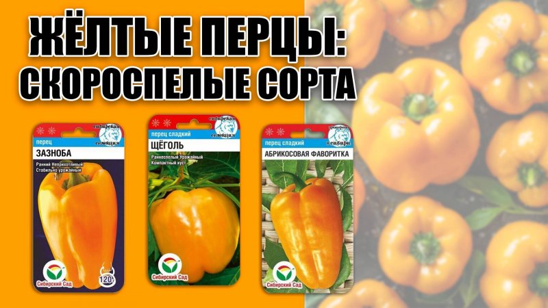 Желтые перцы: скороспелые сорта