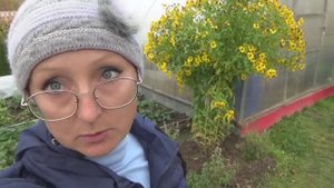 6 соток 10 октября 2020 года. Собрали дайкон и редьку. Рассуждаю о малине. Опять сажаю цветы