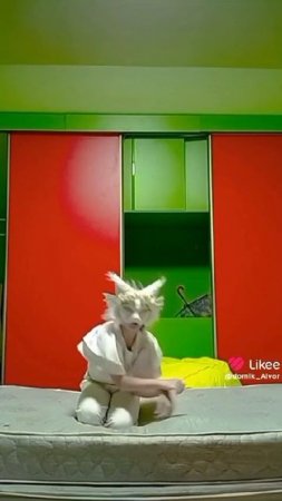 квадробер Айвори 🐱😘