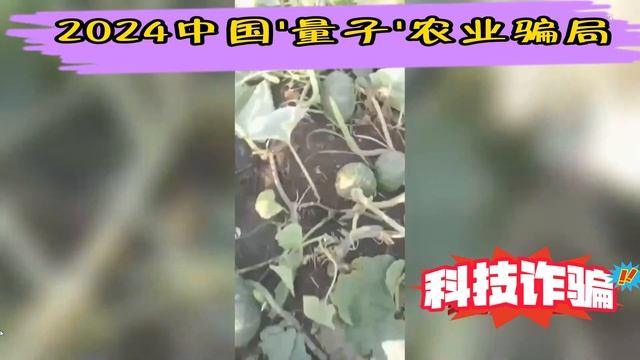 【2024中国新型诈骗New Scam】：量子农业骗局Quantum Agriculture Scam | China | Technology Scam |中国 |科技诈骗