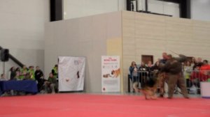 Выступление по БРР Барвиттера Пахан