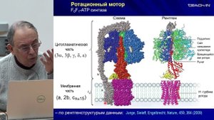 Финкельштейн А.В. - Физика белка - 18. Линейный и ротационный моторы