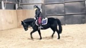 Наоми и Лера, подъем в галоп, рысь в полевой посадке онлайн тренировка. #horse #equestrian #pony