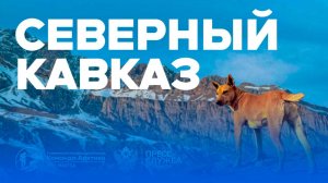 Северный Кавказ