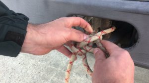 УЗЕЛ ДЛЯ БУКСИРОВКИ,КОТОРЫЙ НЕ ЗАТЯГИВАЕТСЯ №1