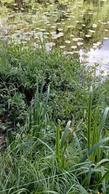 Щука на хробака 👍👇 смотреть онлайн