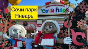 Сочи парк январь, погода, внутри парка.