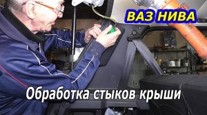 АНТИКОРРОЗИЙНАЯ ОБРАБОТКА СТЫКОВ КРЫШИ НА НИВЕ 🚙✨