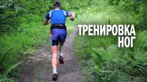 МОЩНАЯ Тренировка НОГ (Взрывная СИЛА и Выносливость)