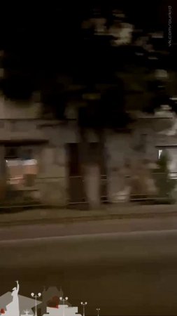 Еноты спариваются на крыше такси в Сочи, в центре города.