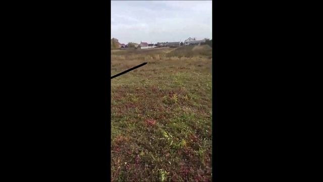 Обзор участка