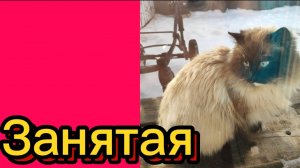 ДЕРЕВЕНСКИЙ ДНЕВНИК. Занятая.