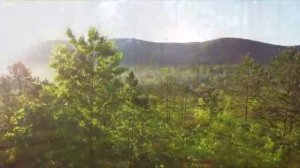 Сура 26 Поэты