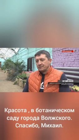 Сердца нет ценней,чем золотые слитки...
Мы все должны друг другом дорожить...
Елена Митрофанова