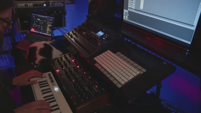 Martin Stürtzer Ambient Night #7 - Improvisation with OB-6 and Bitwig