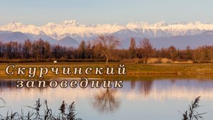 Пикник в Скурчинском заповеднике | Абхазия