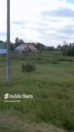 Родина моя забытая#лето🌻июль#shorts#