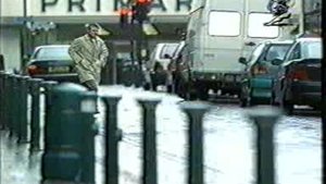 Каннские львы s-31