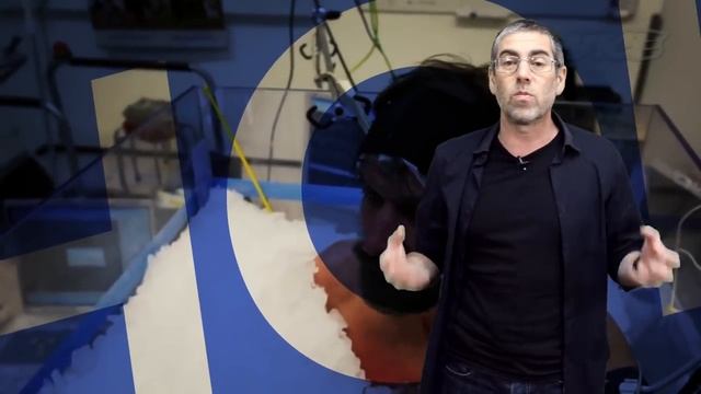 Как перестать болеть. Научно доказано