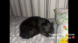 Моя Мишель ❤️❤️❤️