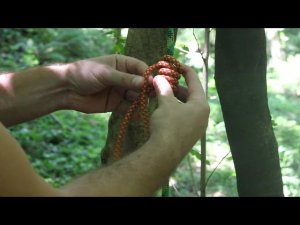 Узел блейка (Скользяще-схватывающий узел) / Blake's Hitch (Sliding-grasping knot)