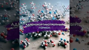 Адренокортикотропныц гормон (АКТГ)