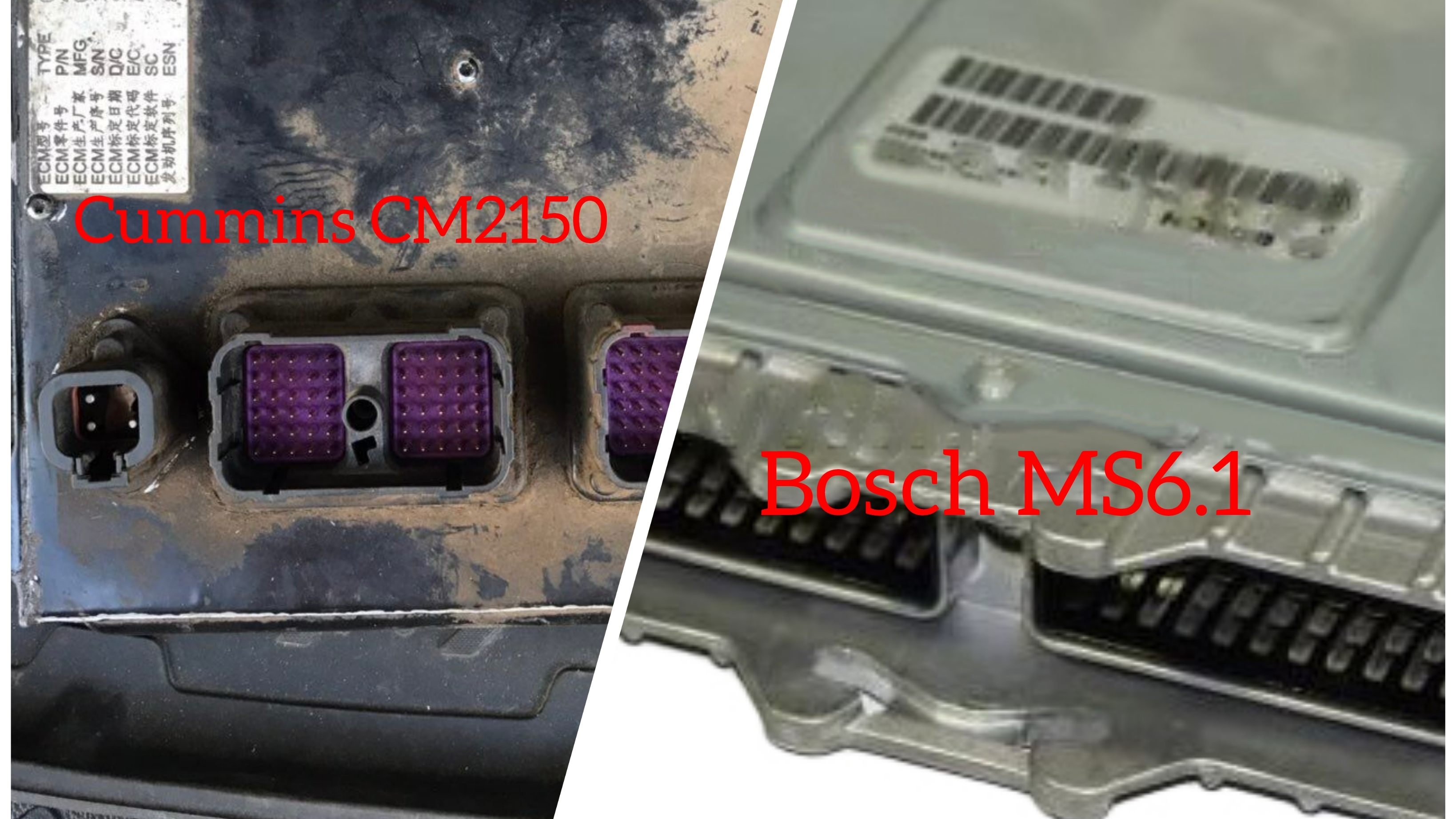 Подключение,программирование,диагностика и увал ЭБУ MS6.1. Cummins CM2150 диагностика на столе.