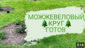КОЛЛЕКЦИЯ МОЖЖЕВЕЛЬНИКОВ УВЕЛИЧИВАЕТСЯ. ЕЩЁ ОДИН МОЖЖЕВЕЛОВЫЙ КРУГ ГОТОВ! 13.06.2023г.