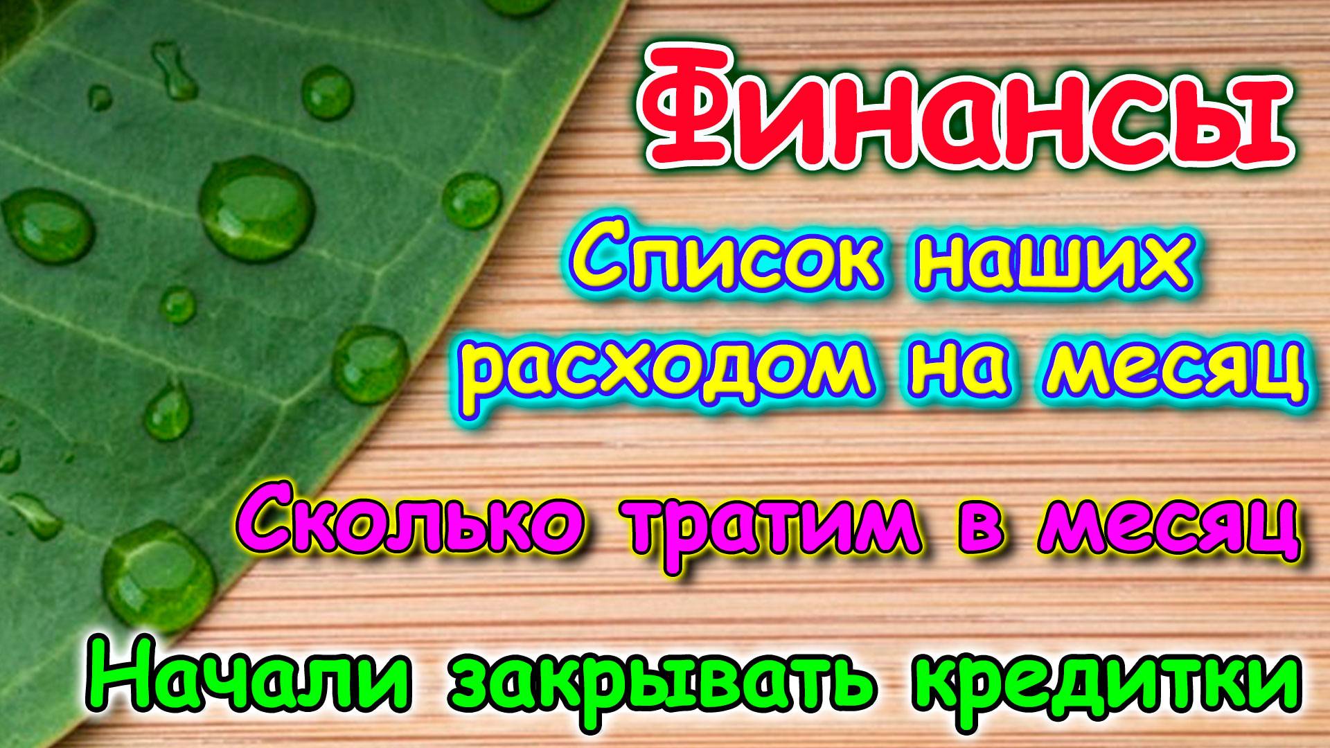 Расходы нашей семьи в месяц. Закрыли некоторые кредитки. (02.25г.) Семья Бровченко.