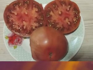 Самые вкусные сорта томатов сезона 2024 года. Пишите комментарии