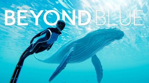 🎦Beyond Blue▶Прохождение