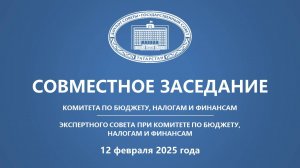 12.02.2025 Заседание Комитета ГС РТ по бюджету, налогам и финансам