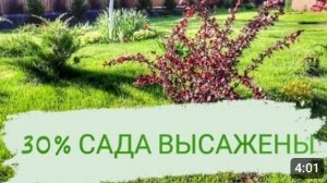 30% САДА ВЫСАЖЕНЫ🤗🌲🌹🌿6.05.2023г.