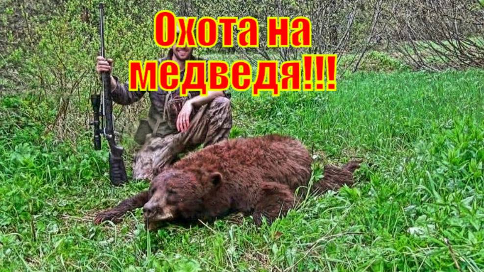 Охота на медведя!!! Все это близко и лично!