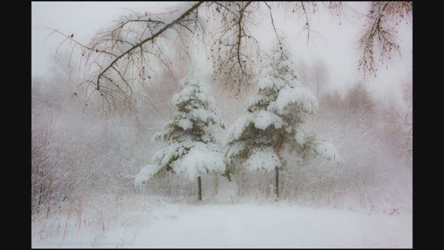 Адажио. Томазо Альбинони.