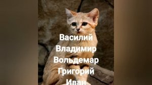 Именины 12 февраля