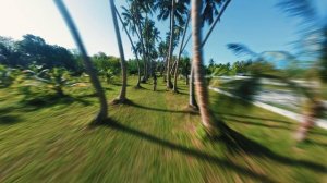 Мальдивы сеть  отелей VILLA RESORTS 🌴 .  Один из отелей Villa Park
