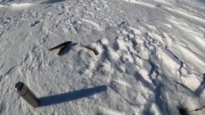 Новая Земля. Рыбалка Зимой на Новой Земле. Зимняя рыбалка на архипелага Новая Земля