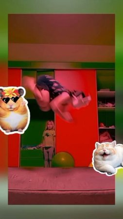 Квадробер шустрик🐱